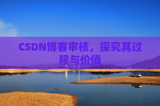 CSDN博客审核，探究其过程与价值